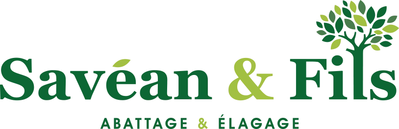 Savéan & Fils